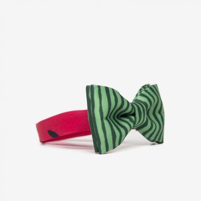 Mucha dla chłopca arbuz