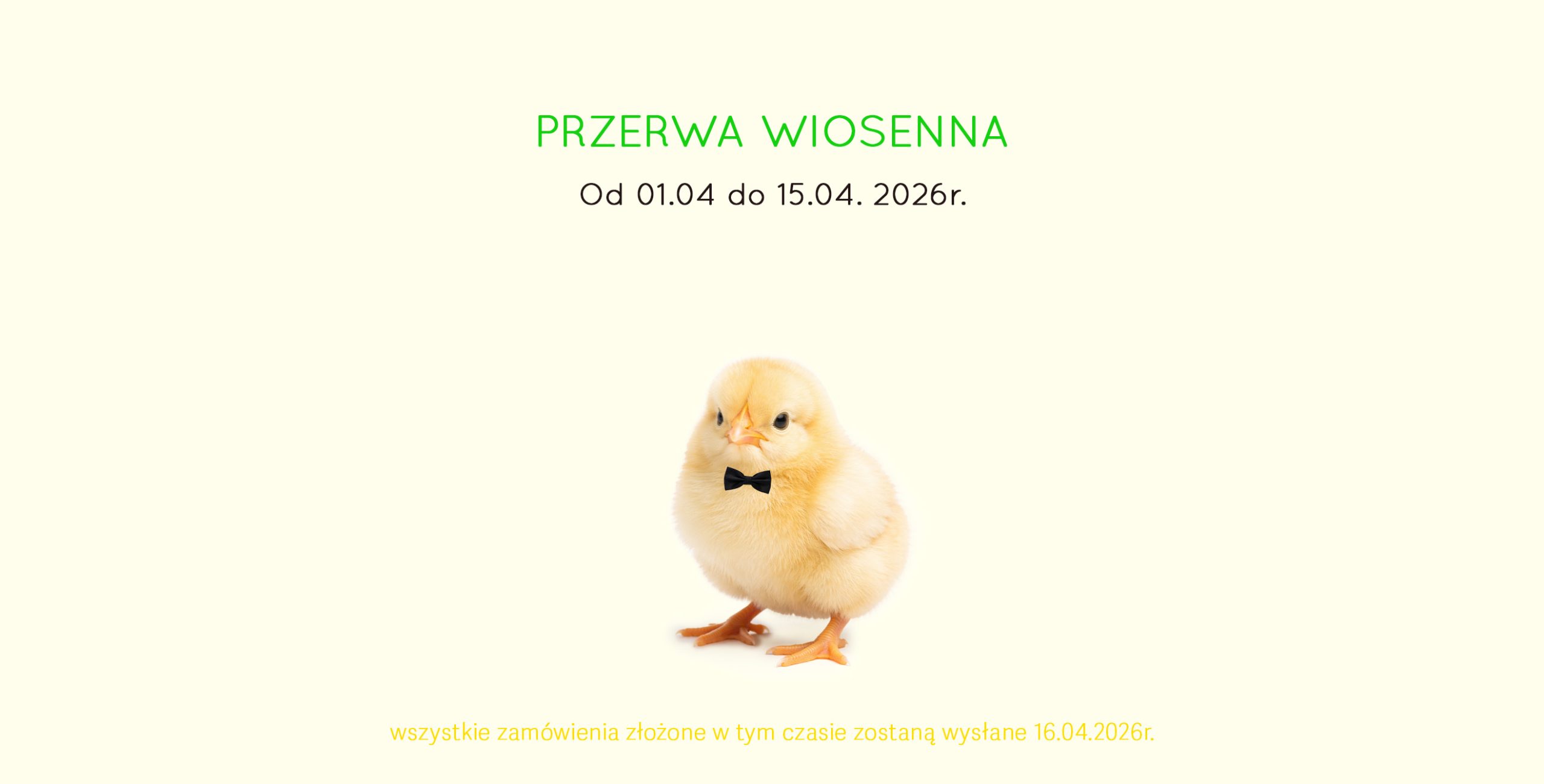 Muszka na święta. Kurczak w muszce